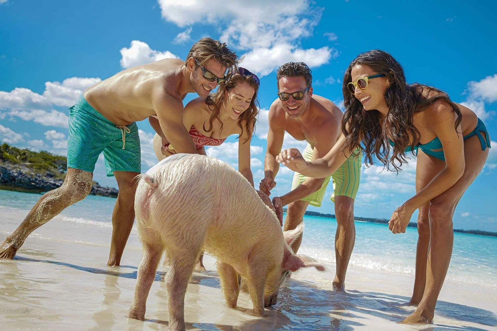 Swimming Pigs & ATV Tour